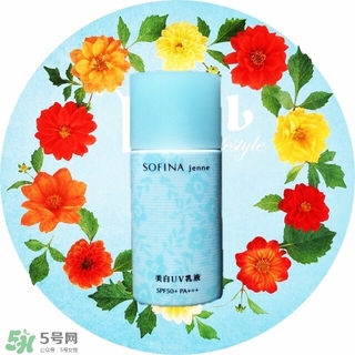 �շ�������˿����С���ĸ��ã��շ�������˿����С���Ա�